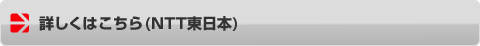 詳しくはこちら(NTT東日本)