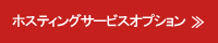 ホスティングサービスオプション